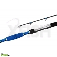 Delphin Hazard Harcsázó Bot 330cm 500g 2Részes
