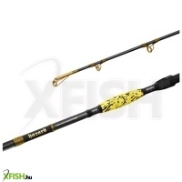 Delphin Hazard Bxg Harcsázó Bot 310 cm 505 g 2 Részes