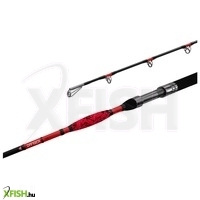 Delphin Danger Catfish Harcsázó Bot 255 cm 350 g 2 Részes