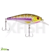 Berkley Flicker Shad Shallow wobbler 2in | 5cm 1/6 oz Purple Tiger 1 Plastic Clam / Blister 2'-4' | 0.5m-1.2m 8 2