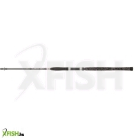 Penn Legion Cat Silver Spin Heavy Pergető Bot 240cm 40-160g 2Részes