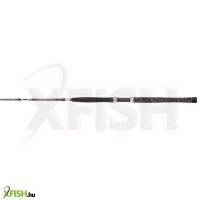Penn Legion Cat Silver Inliner Harcsázó Horgászbot 200cm Max:300g 1+1Részes