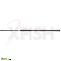 Penn Legion Cat Silver Rvr Monster Harcsázó Horgászbot 290cm Max:450g 2Részes
