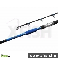 Delphin Hazard Harcsázó Bot 255cm 500g 2Részes