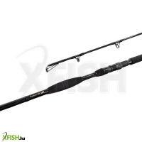 Delphin Symbol Cat Harcsázó Bot 310cm 500g 2Részes