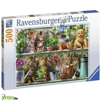 ravensburger puzzle 500 db - cicák a polcon
