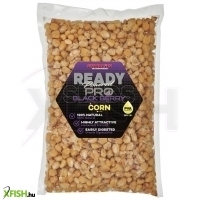 Starbaits Ready Seeds Pro Kukorica Feketeribizli 1000g