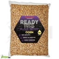 Starbaits Ready Seeds Pro Kukorica Feketeribizli 3000g