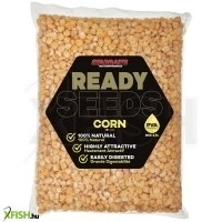 Starbaits Ready Seeds Corn Főzött Kukorica 10Kg