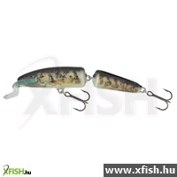 Salmo Wobbler Fanatic If7F Rg