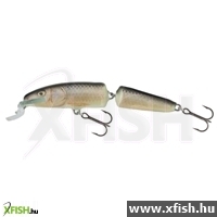 Salmo Wobbler Fanatic If7F Rbl