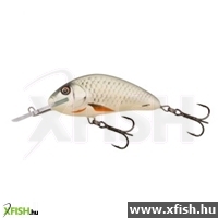 Salmo Wobbler Hornet H2S Dace Sinking