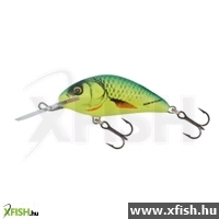 Salmo Wobbler Hornet H2S Gfp
