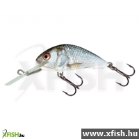 Salmo Wobbler H3F Rd