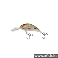Salmo Wobbler Rattlin' Horner H3.5F 3,5 cm Ger