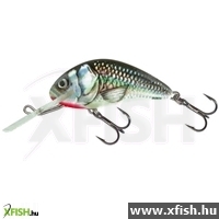 Salmo Wobbler Rattlin Hornet H4.5 Shs