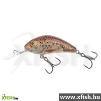 Salmo Wobbler Rattlin' Hornet H6.5 Bht