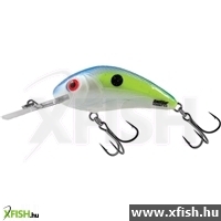 Salmo Wobbler Rattlin Hornet H6.5 Sxs
