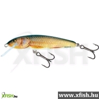 Salmo Wobbler Minnow M5F Rr