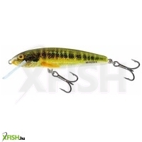 Salmo Wobbler Minnow M5F Hrm