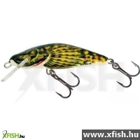 Salmo Wobbler Bullhead Bd6F Hbd