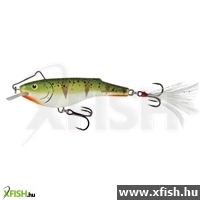 Salmo Wobbler Rail Shad Rbipe 6 cm 14 g