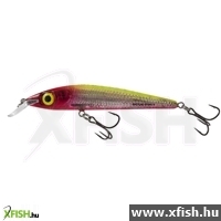 Salmo Wobbler Rattlin' Sting Rs9 Hcl 9 Cm 11 G