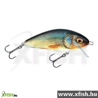 Salmo Wobbler Fatso F10F Rr