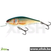 Salmo Wobbler Executor Iex9Sr Rr 9 Cm
