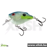 Salmo Wobbler Squarebill Sq6F Sxs