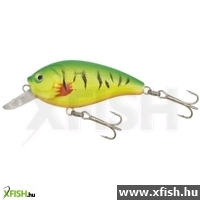 Gold Star Wobbler Fat Col:1