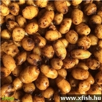 Főtt Tigrismogyoró 5 Kg Csomagban