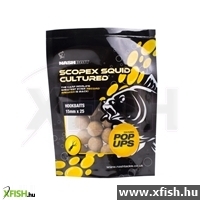 Nash B6872 Scopex Squid Cultured Pop Up Bojli 20Mm (15 Db/Csomag)