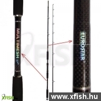 Eurostar Multimesh Wels Harcsázó Bot 320cm 150-300g 2Részes
