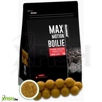 Haldorádó Max Motion Boilie Long Life 24 Mm - Spanyol Mogyoró bojli 800g