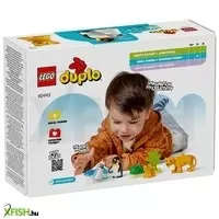 további képek