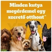 további képek