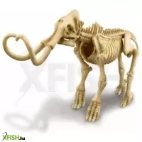 további képek