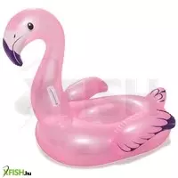 további képek