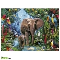 további képek