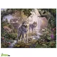 további képek