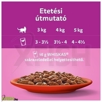 további képek