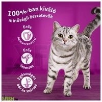 további képek