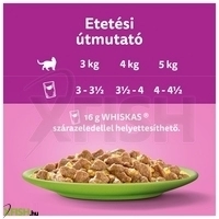 további képek