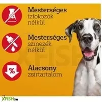 további képek