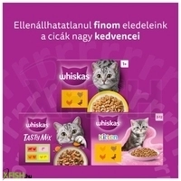 további képek