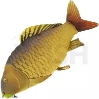 további képek