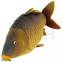 további képek