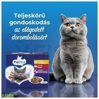 további képek