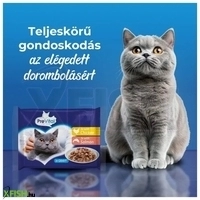 további képek